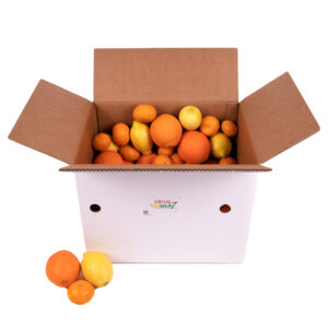 Box personalizzato di agrumi e prodotti siciliani da 16kg Citrus BioSicily